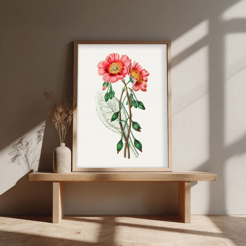 Springs Embrace Archival Paper Wall Art - Natural Brown Frame