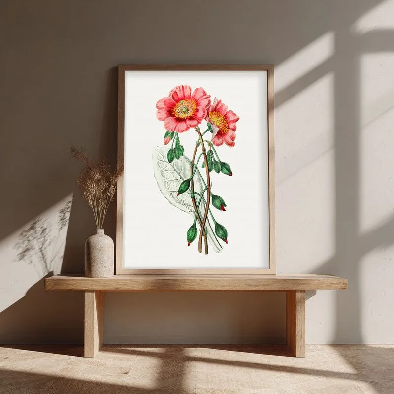 Springs Embrace Archival Paper Wall Art - Natural Brown Frame media 1