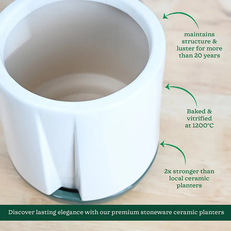 Ugaoo Duke of Drainage Ceramic Planter - White & Green media 5