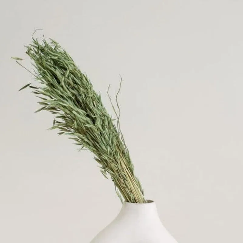 Hazo Millet Grass Dried Havana Grass Bunch - Green media 1
