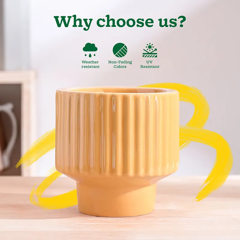 Ugaoo Classic Stria Ceramic Planter - Yellow media 6