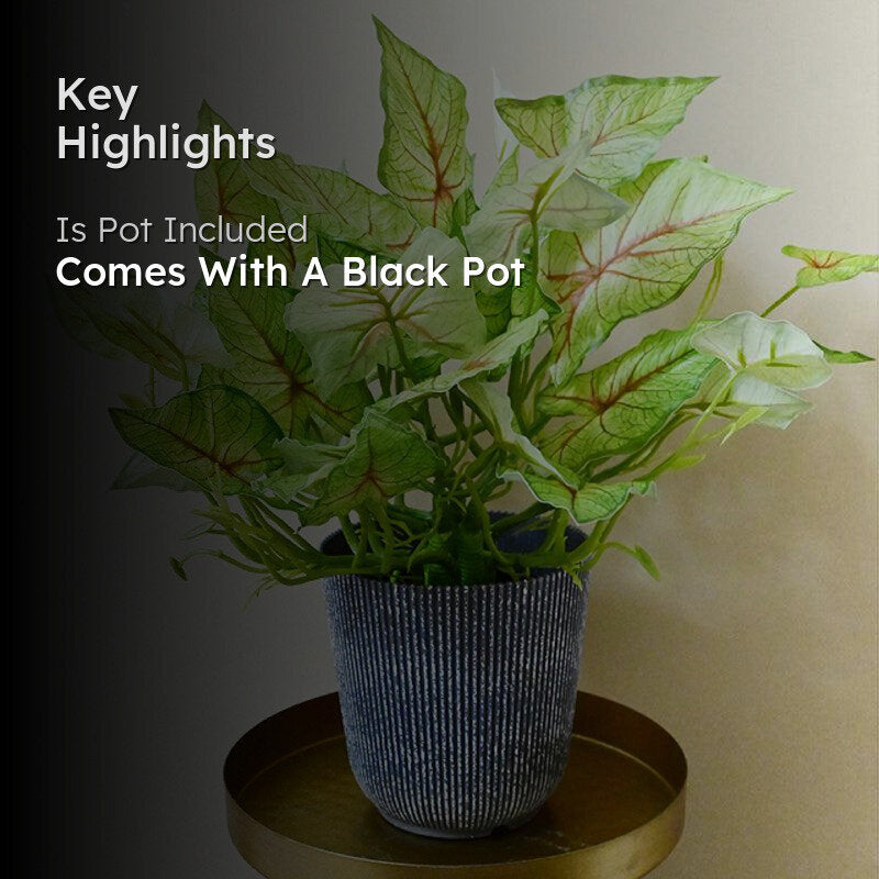 Caladira Artificial Caladium Plant With Black Plastic Pot - 40 cm media 2