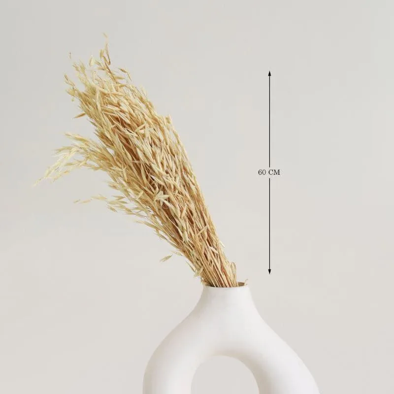 Hazo Millet Grass Dried Havana Grass Bunch - White media 4