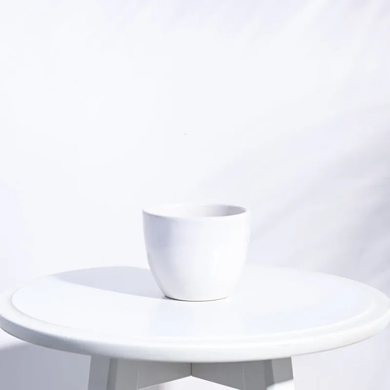Ugaoo Apple White Ceramic Pot- Small media 1