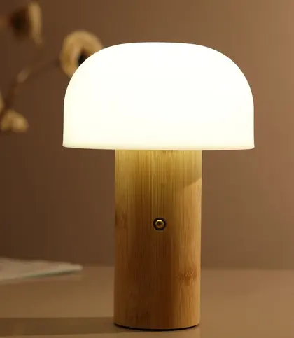 Bamboo · Plastic