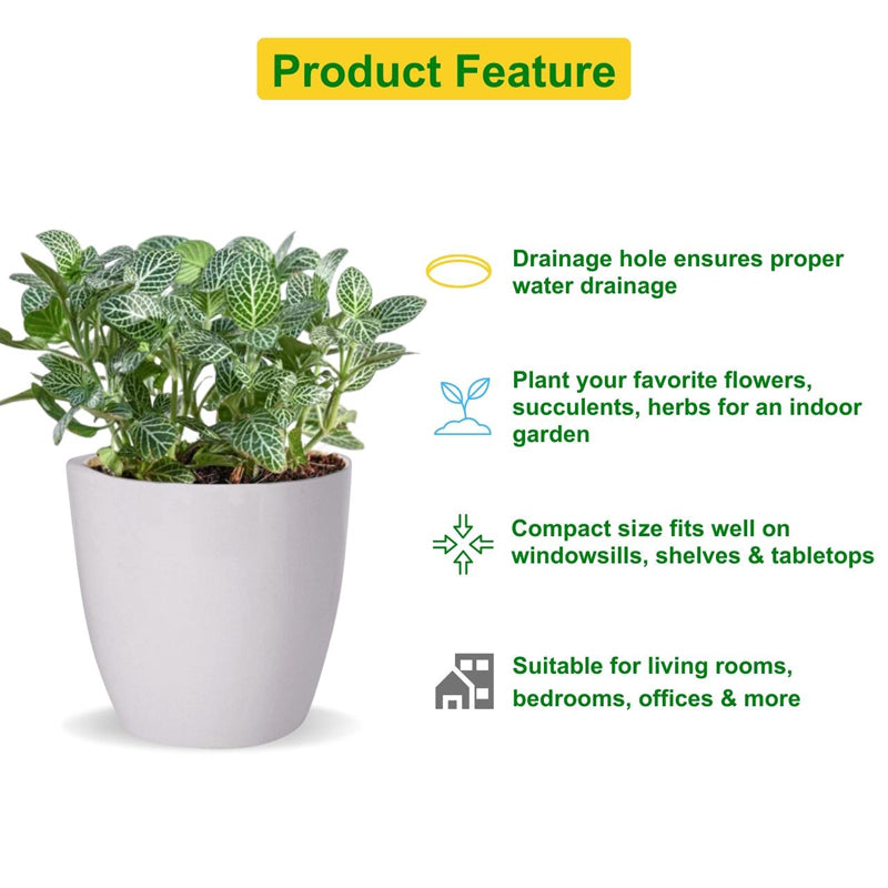 Alva White Planter media 6