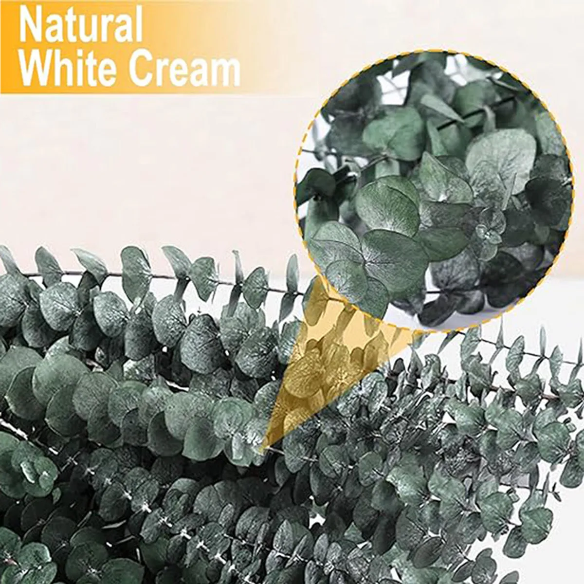 Close-up of green eucalyptus leaves showing a soft natural-looking finish