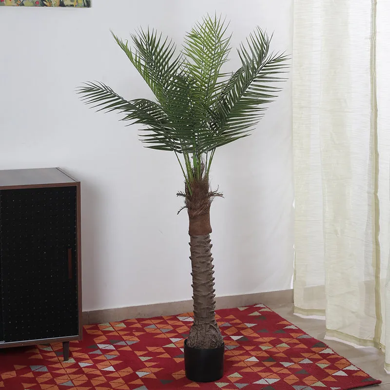 Faux Tropical Areca Plant With Black Plastic Pot - 4.92 ft media 3