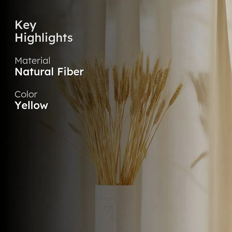 Dried Wheat Stems (60 cms) - Yellow media 2