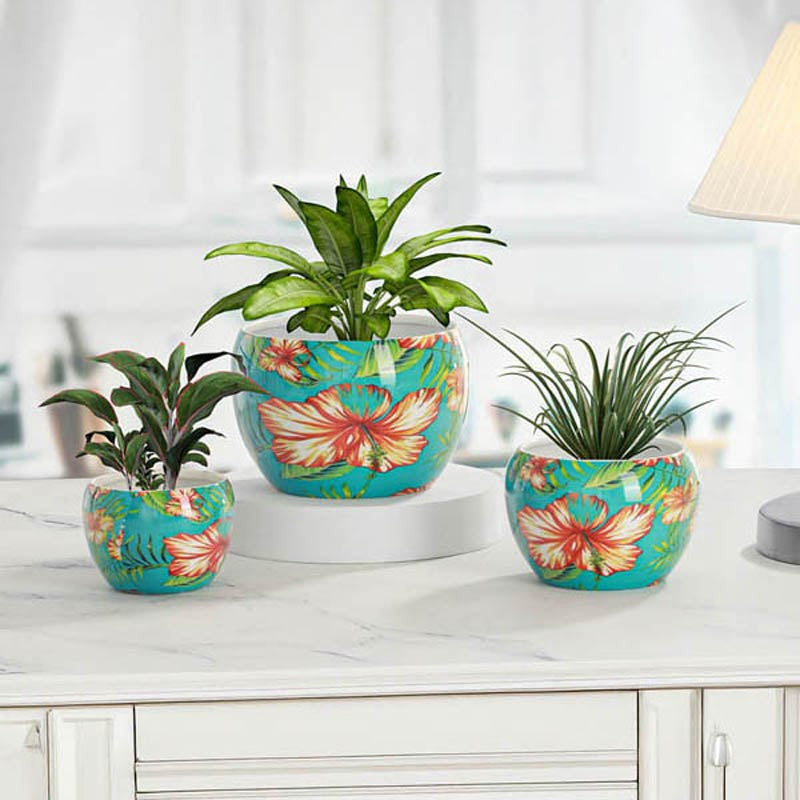 Hibiscus Handcrafted Planter - Set Of Three media 7