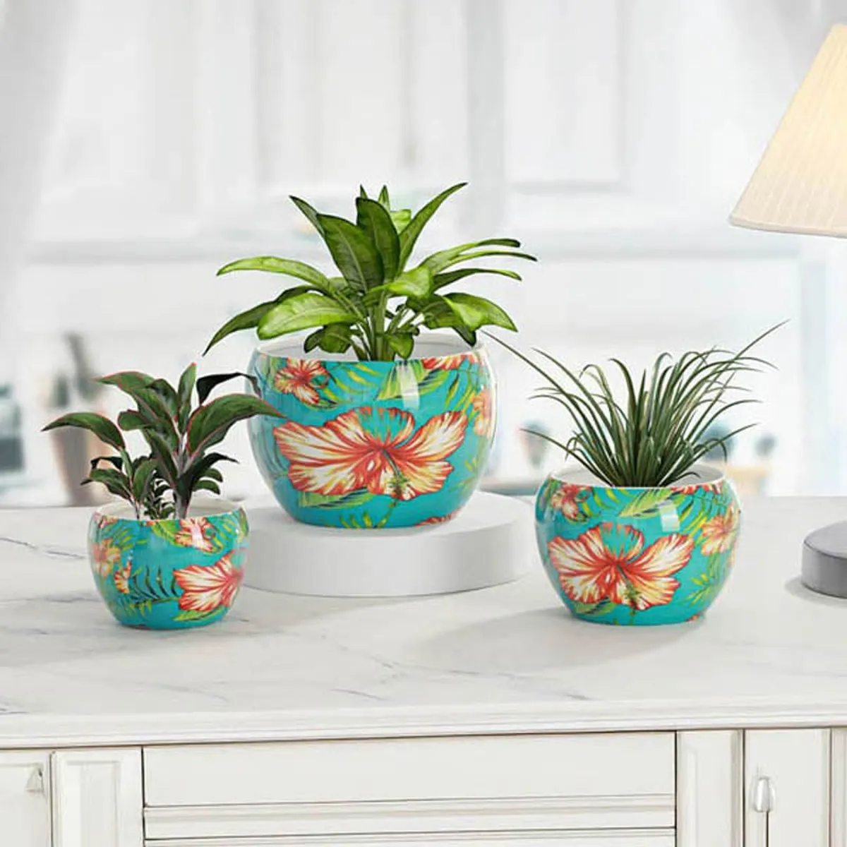 Three floral blue planters displayed with indoor plants on a cabinet