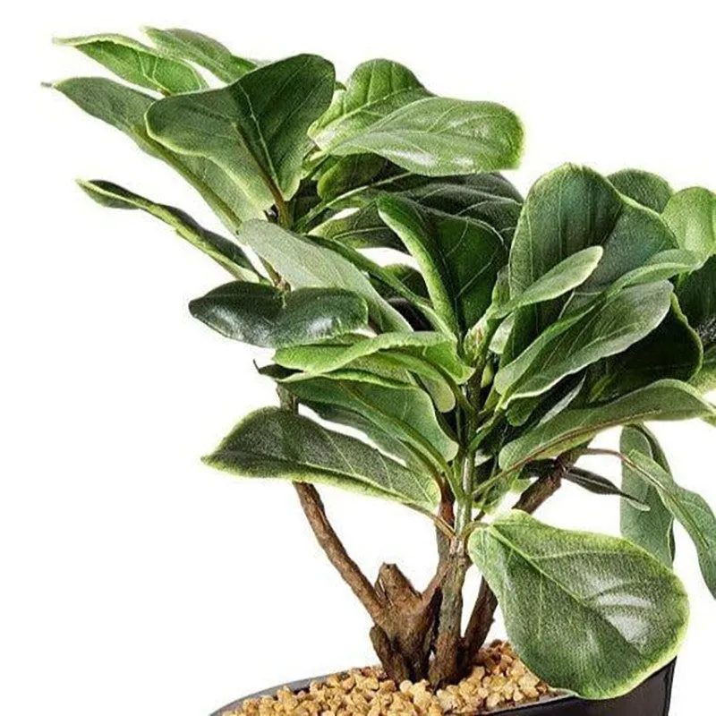 Faux Fiddle Bonsai In Bowl Pot - 29 cms media 4