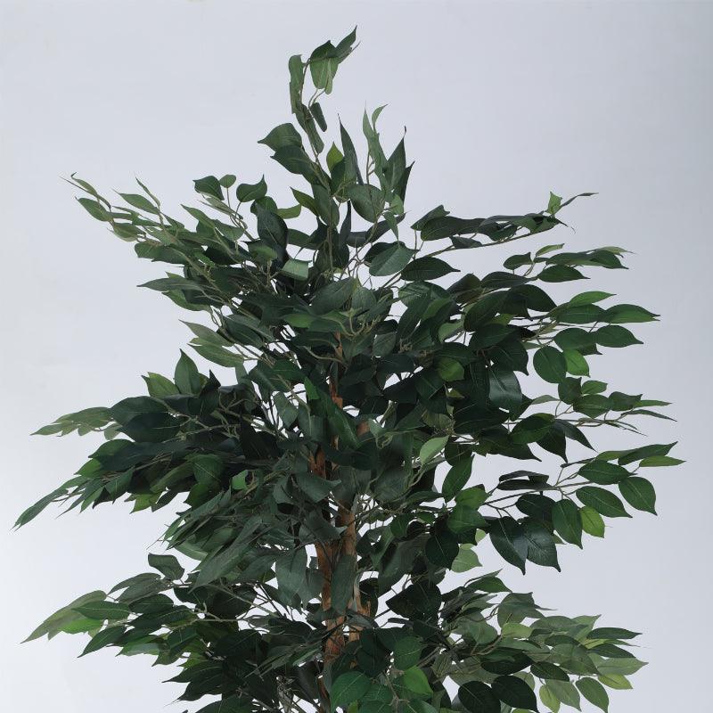 Faux Evergreen Ficus Plant With Black Plastic Pot - 5.91 ft image 5