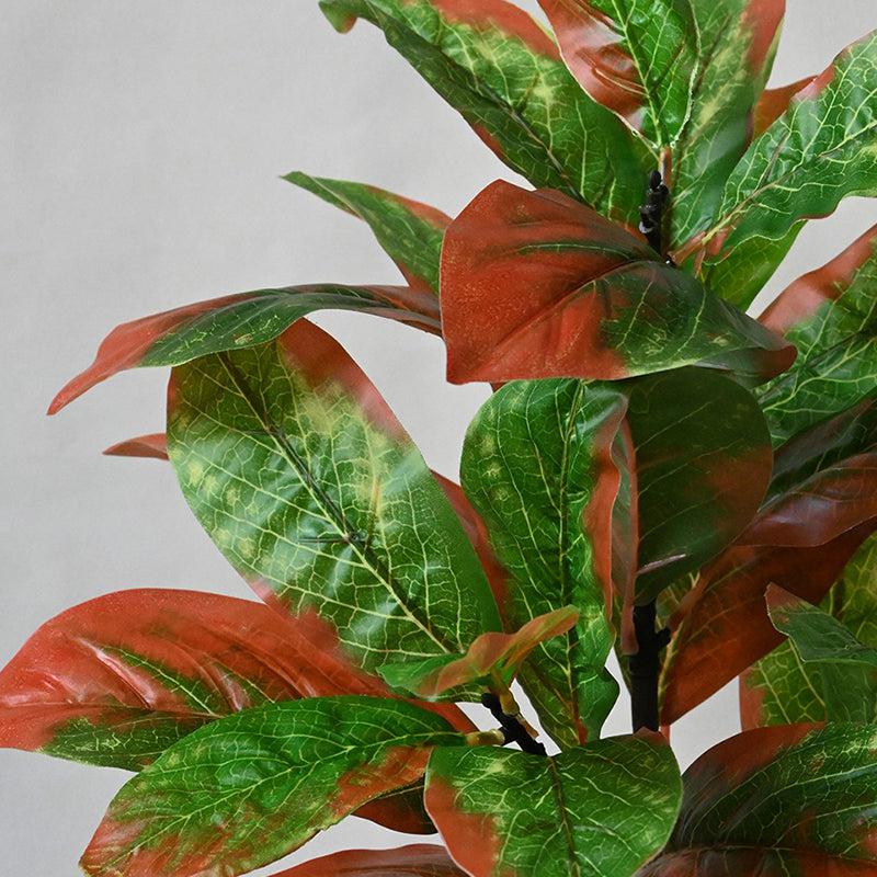 Faux Everlasting Croton Plant With Black Plastic Pot - 74 cm (2.4 ft) media 4