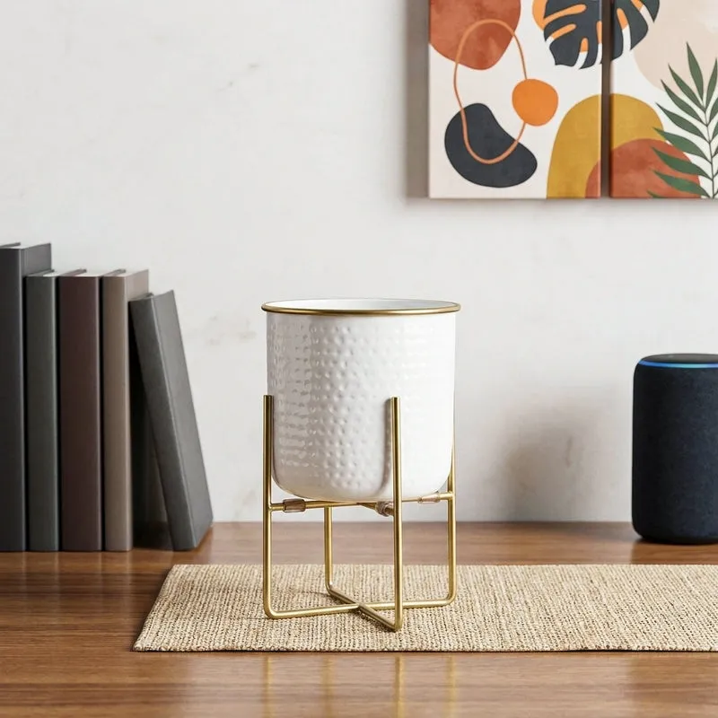 Rhaella Iron Planter - Small media 1