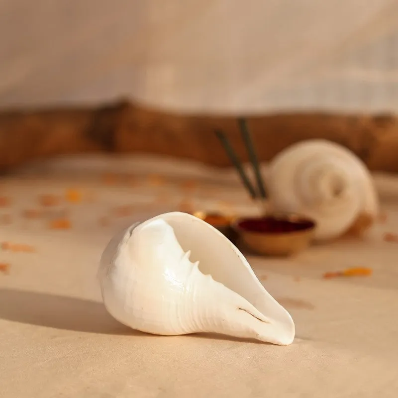 Sacred Shankh Shell Pooja Essential media 8
