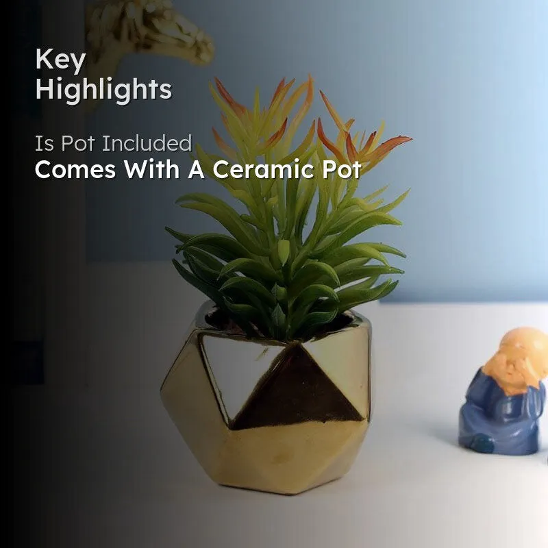 Faux Euphorbia In Gold Ceramic Pot - 16 cms - 2