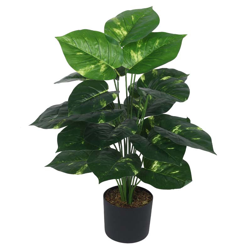 Faux Lush Pothos Plant With Black Plastic Pot - 2.6 Feet media 4