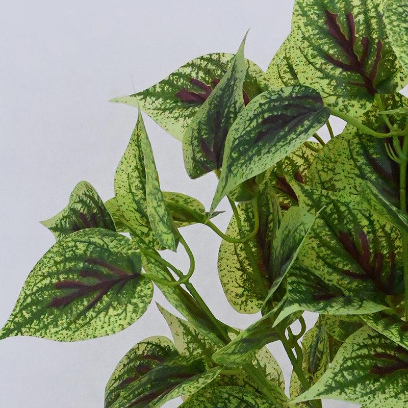 Faux Everlasting Dragon Heart Coleus Plant With Black Plastic Pot - 48 cm media 4