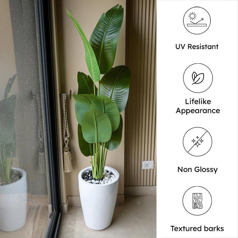 Tropibana Artificial Bird Of Paradise With Black Plastic Pot - 157 cm (5.2 ft) media 8