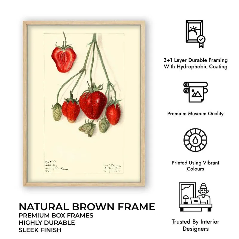 Juicy Harmony Archival Canvas Wall Art - Brown media 11