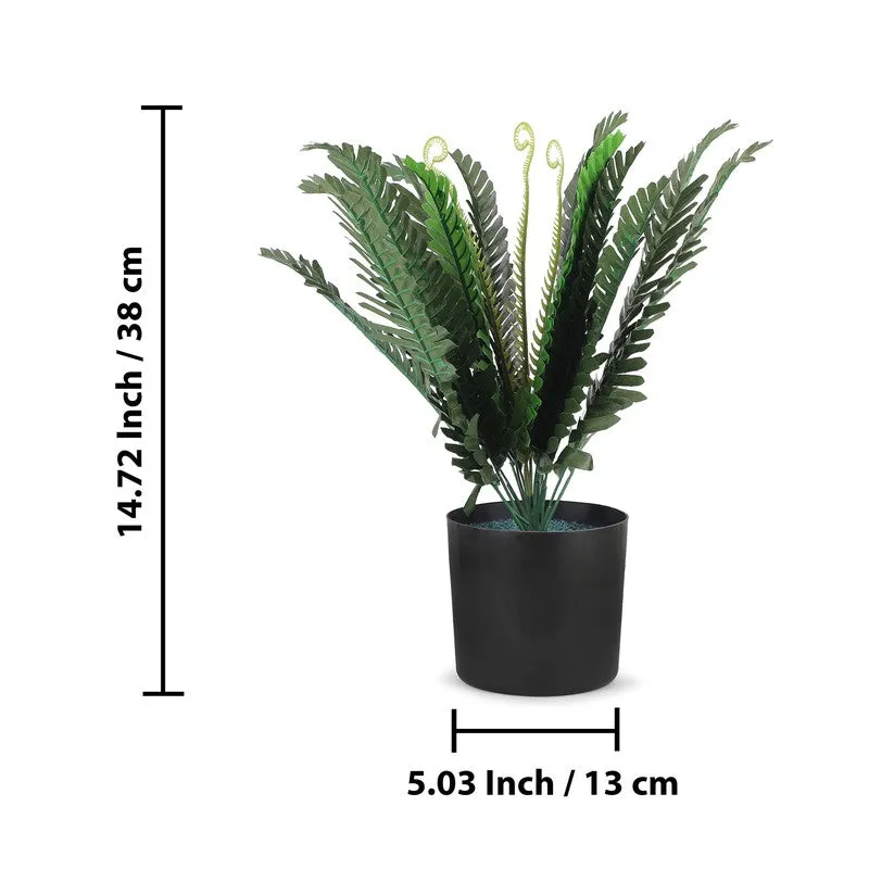 Leaflix Fern Artificial Plant With Plastic Pot - 1.3 Feet media 7