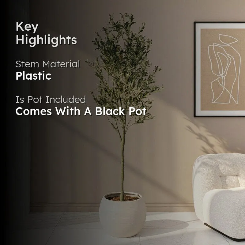 Faux Lush Olive Artificial Plant With Black Plastic Pot - 5.6 Feet media 2