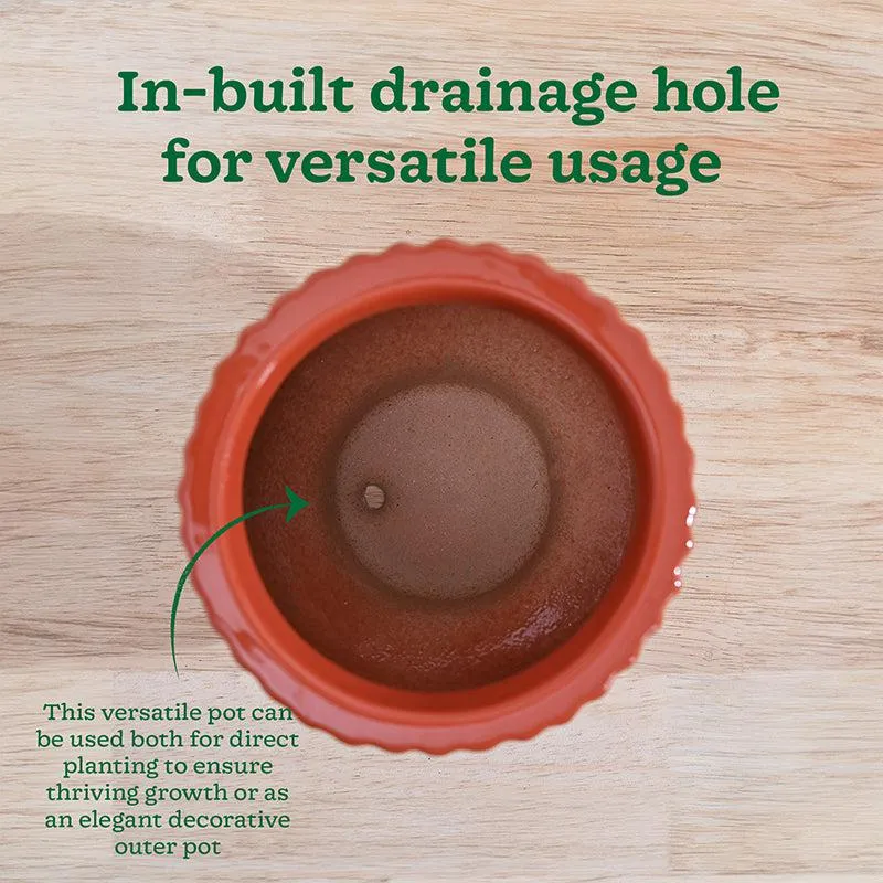 Ugaoo Classic Stria Ceramic Planter - Coral media 7