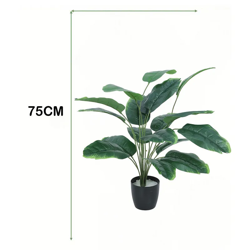 Viridia Artificial Banana Plant With Black Plastic Pot - 2.5 Feet media 6