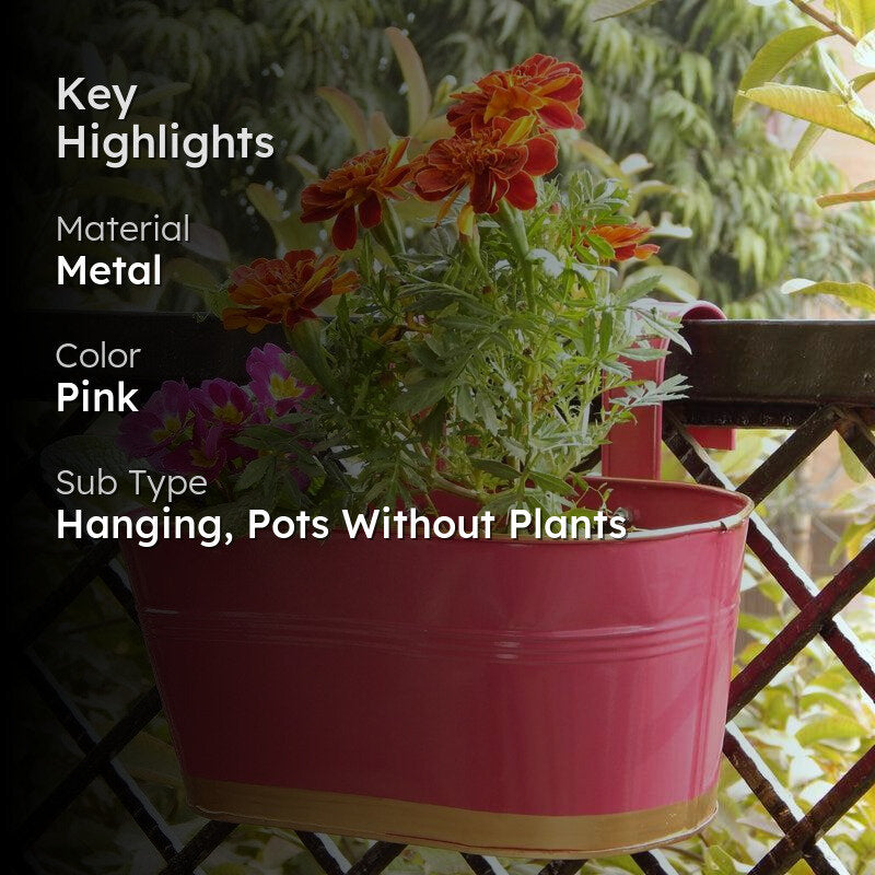 Norva Hanging Planter (Pink) - Set Of Six media 2