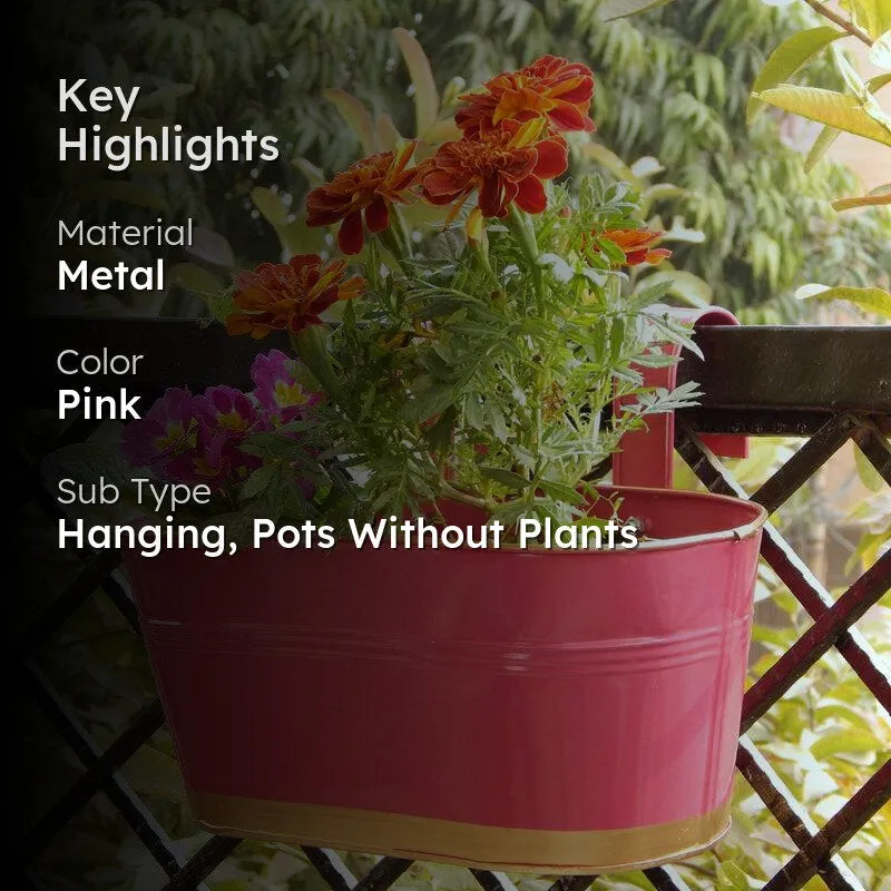 Norva Hanging Planter (Pink) - Set Of Six media 2