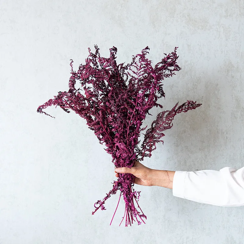 Lizeya Naturally Dried Bunch - Set Of Twelve media 4