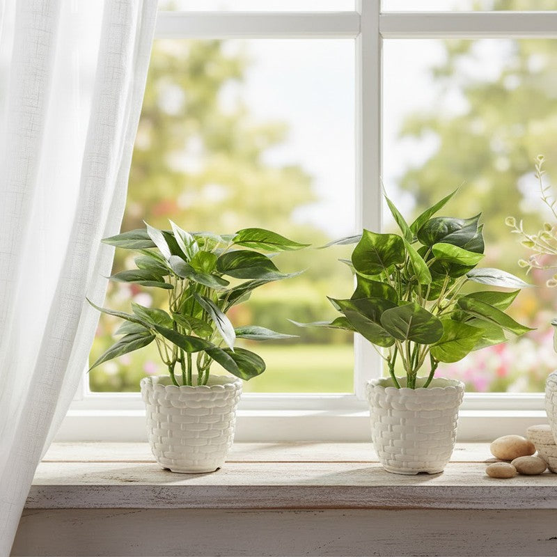 Neonix Syngonium Artificial Plant With Plastic Pot - 0.8 Feet