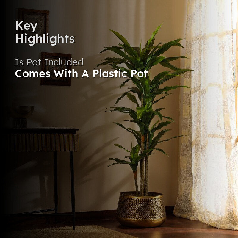 Artificial Realistic Dracaena Plant With Black Plastic Pot - 5.6 Feet image 2
