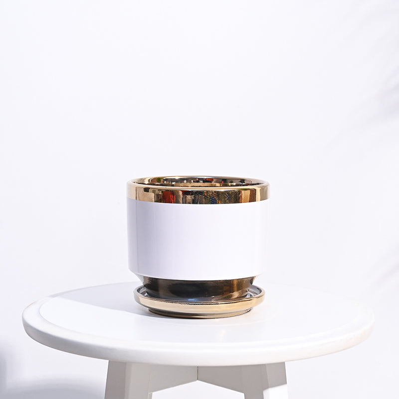 Ugaoo Athenian Ceramic Planter - White media 5