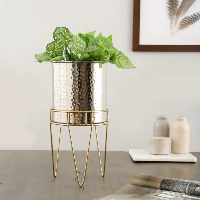 Zenva Stainless Steel Planter - Silver & Gold media 2