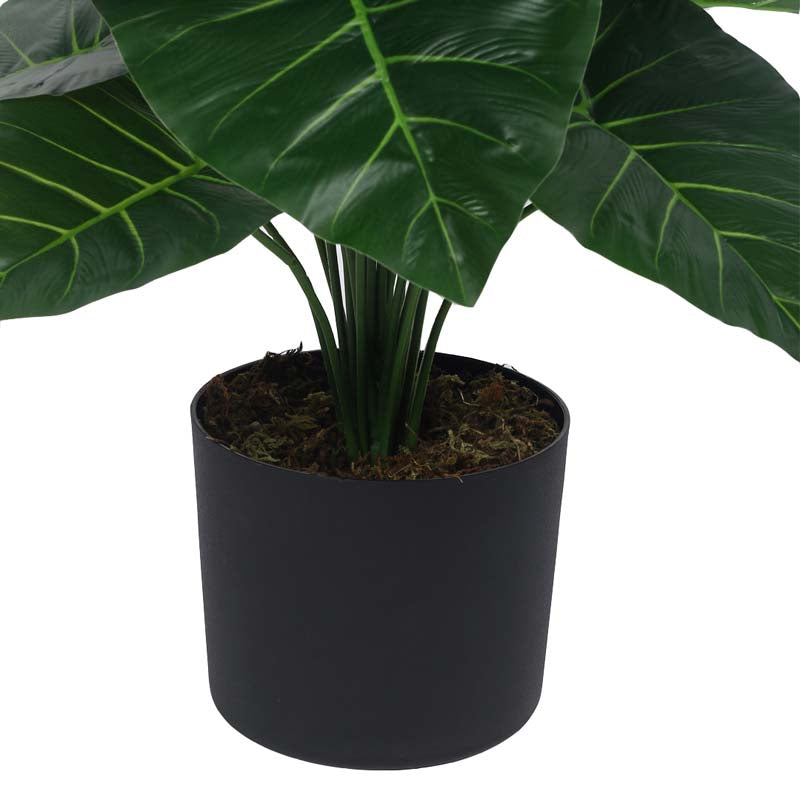 Faux Lush Rubber Fig Plant With Black Plastic Pot - 2.6 Feet media 6