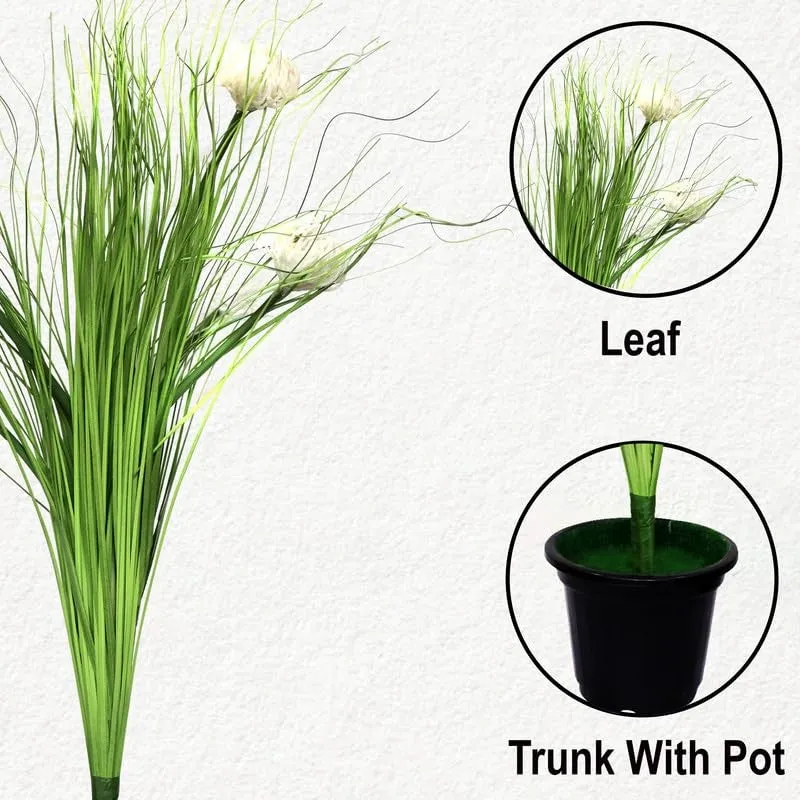 ArecaLux Artificial Faux Pampas Grass With Black Plastic Pot - 2.5 Feet media 5