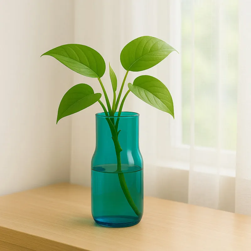 Rib Form Vase media 4