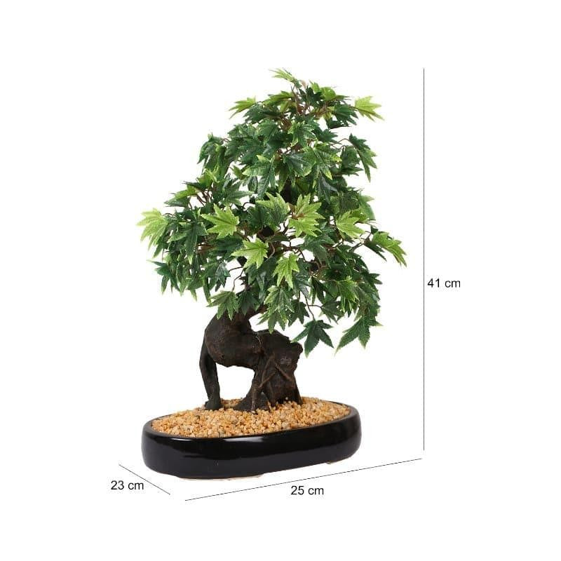Faux Maple Bonsai In Tray Black Plastic Pot (41 cms) - Green & Brown media 5