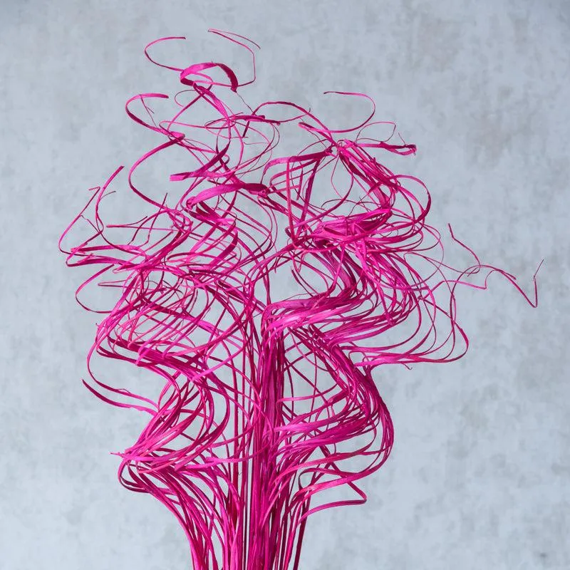 Marisei Curly Stem - Pink media 3