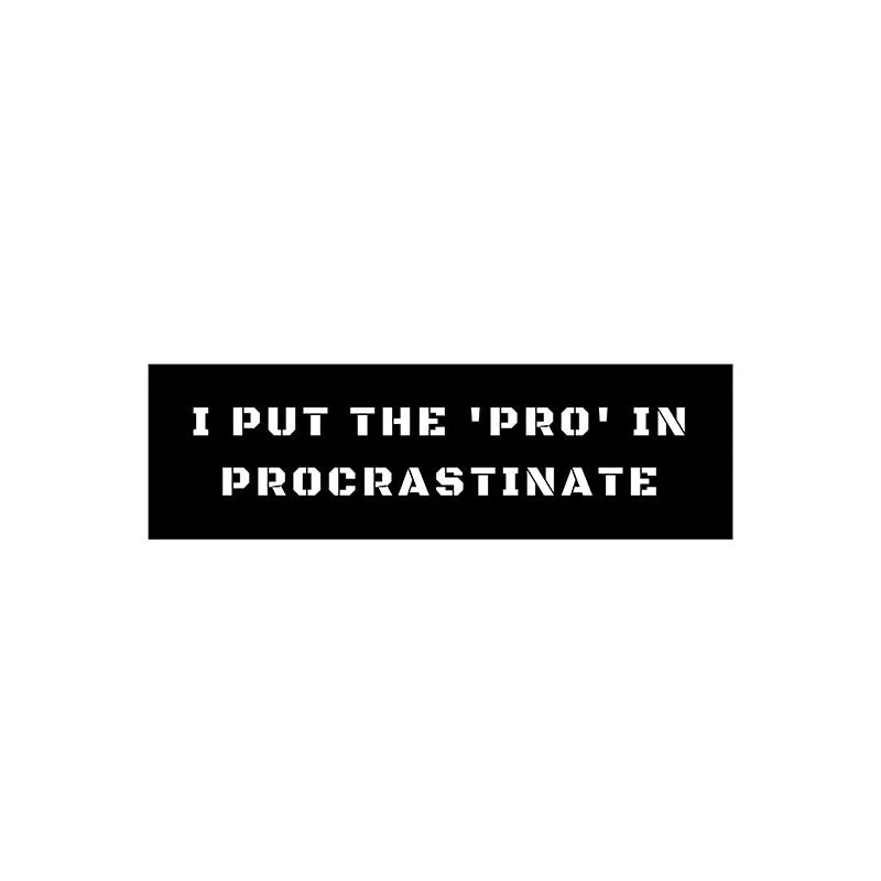I Put The 'Pro' In Procrastinate Iron Wall Accent media 3