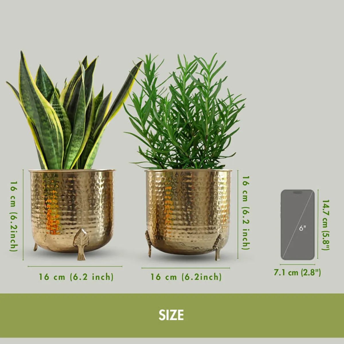Two gold hammered planters with plants shown beside a phone for scale