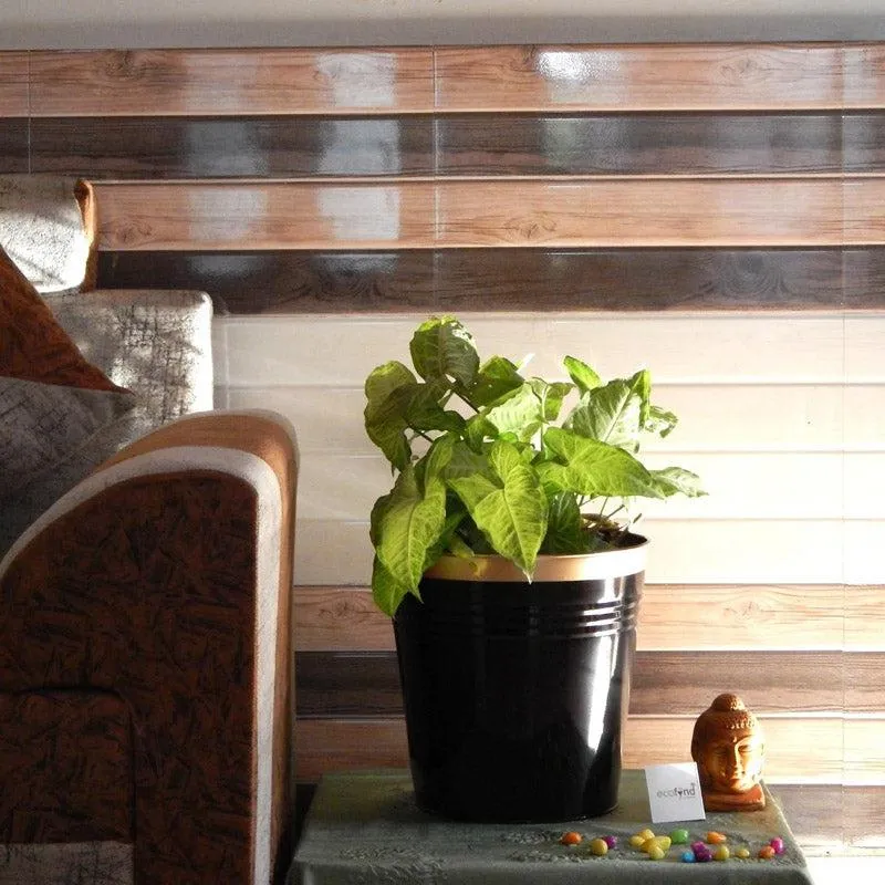 Anira Black Planter media 11