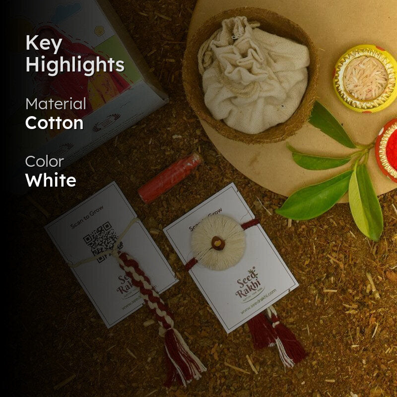 Apoorva Rakshabandhan Seed Rakhi Gift Box media 2