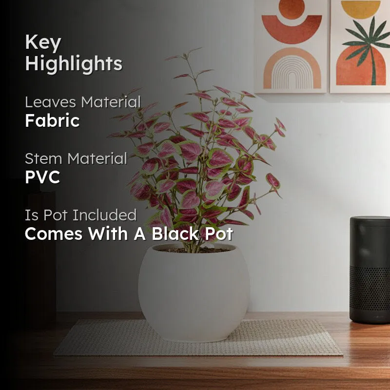 Artificial Natural Looking Coleous Big Plant With Black Fiber Pot (Pink) - 1.4 Feet media 2
