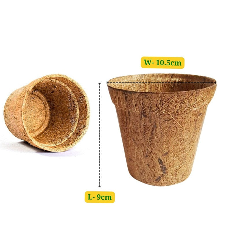 Ora Coir Planter - Set Of Ten media 3