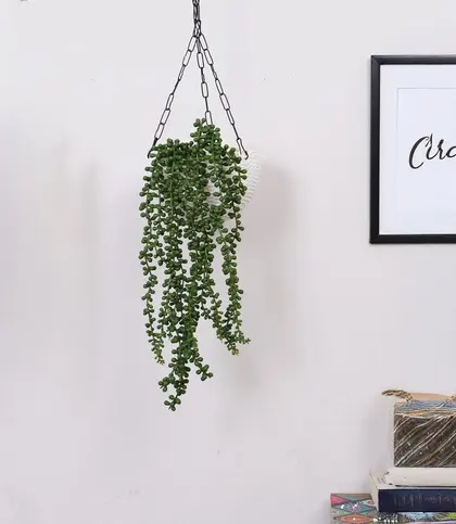 PVC