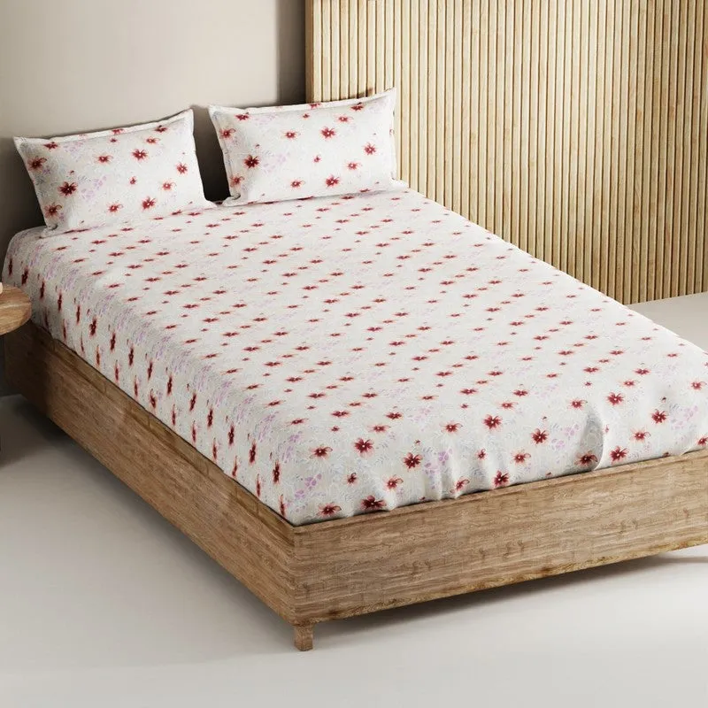 Nyric Cotton Bedsheet (Peach) - 144 TC media 1