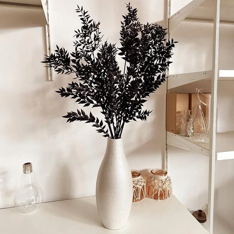 Dried Ruscus Bunch (Black) - Set Of Three media 7